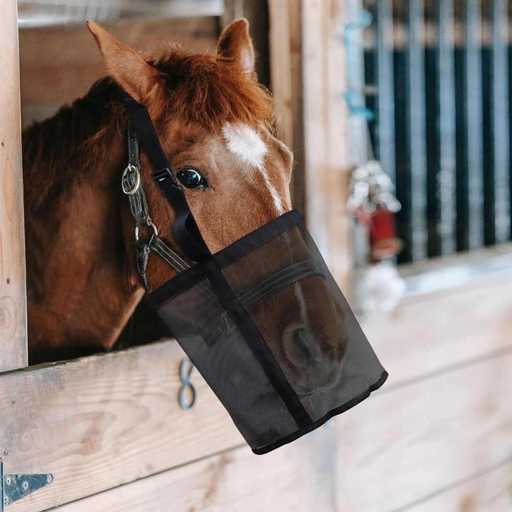 Borsa per l'alimentazione dei  - Mesh Feeder Bag recensione e prezzo